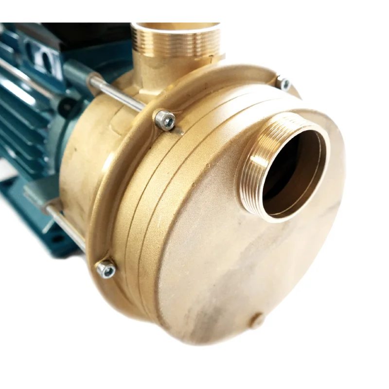 Impellerpumpe 240 l min ohne Anbauteile Heizöl Diesel 230V Pumpe Tankschutz