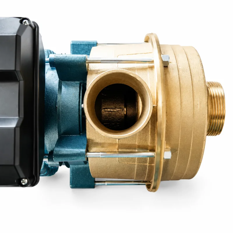 Impellerpumpe 240 l min ohne Anbauteile Heizöl Diesel 230V Pumpe Tankschutz