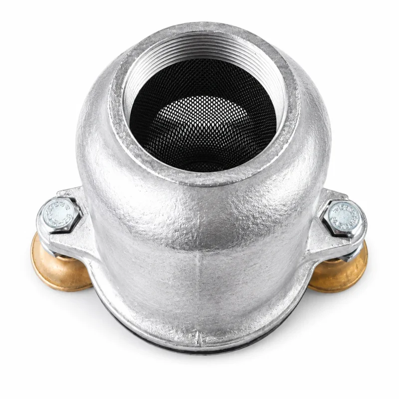 Vorfilter mit Deckel und Feinsieb Einsatz 2 Zoll für Heizöl und Diesel Pumpenschutz